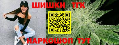 сатива Камышлов