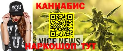 сатива Камышлов
